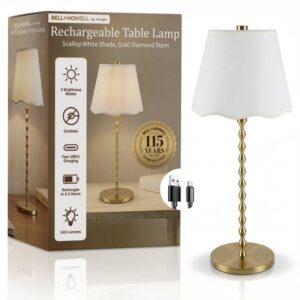 faire_b9_08 Diamond Stem Scallop Shade Rechargeable Led Dimmable Lamp